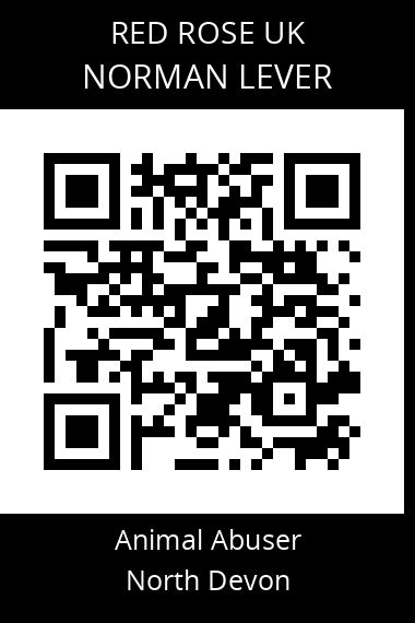 QR code for norman-lever-1