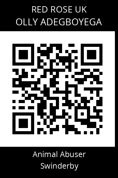 QR code for olly-adegboyega