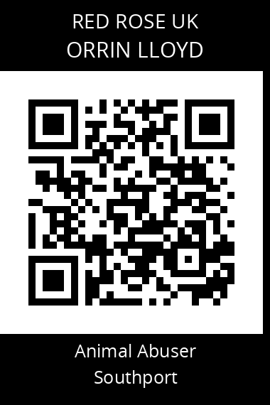 QR code for orrin-lloyd