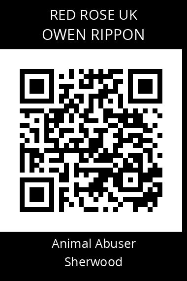 QR code for owen-rippon