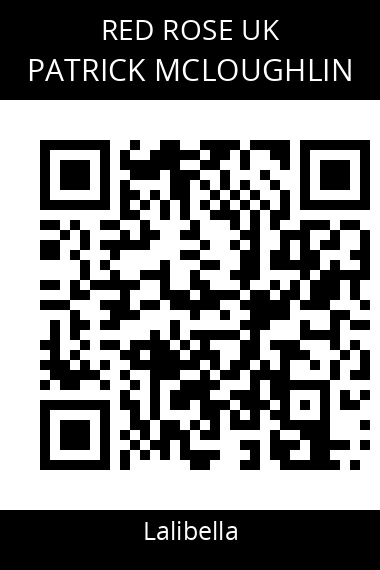 QR code for patrick-mcloughlin