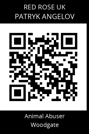 QR code for patryk-angelov