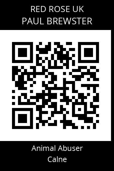 QR code for paul-brewster