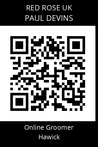 QR code for paul-devins