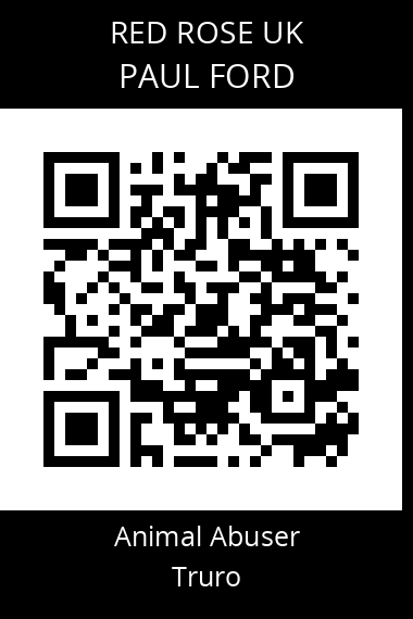 QR code for paul-ford