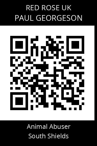 QR code for paul-georgeson