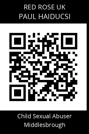 QR code for paul-haiducsi