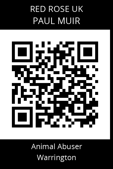 QR code for paul-muir
