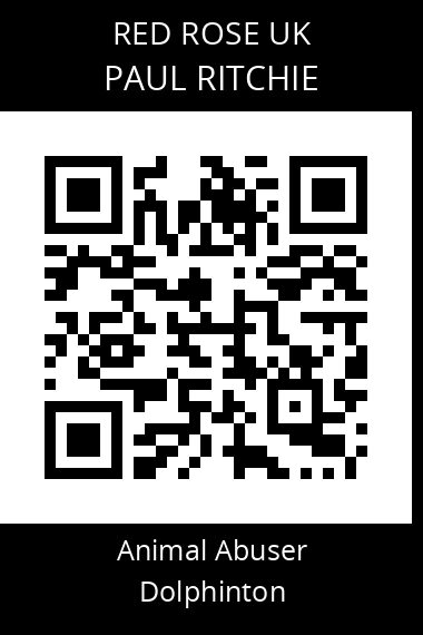 QR code for paul-ritchie-1