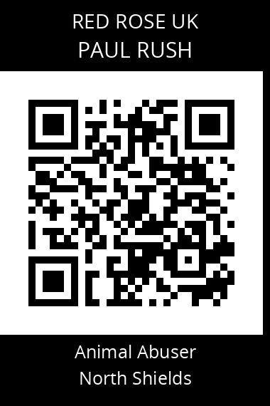 QR code for paul-rush