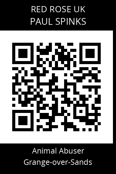 QR code for paul-spinks