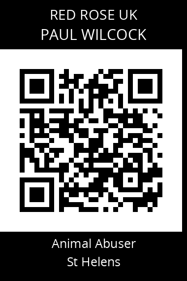 QR code for paul-wilcock