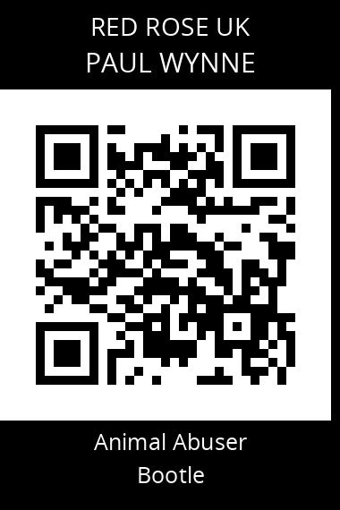 QR code for paul-wynne