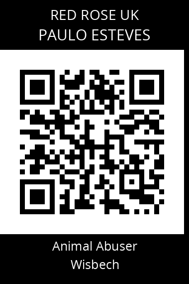 QR code for paulo-esteves