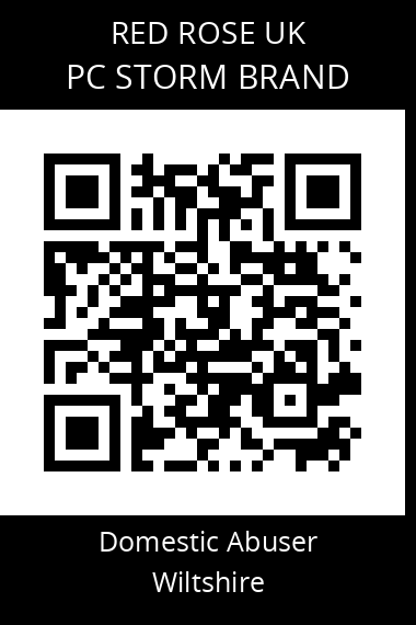 QR code for pc-storm-brand
