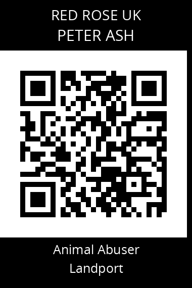QR code for peter-ash
