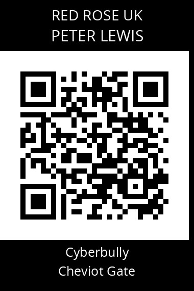 QR code for peter-lewis-1