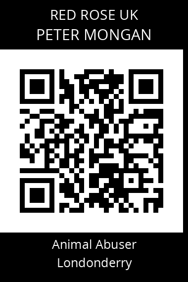 QR code for peter-mongan