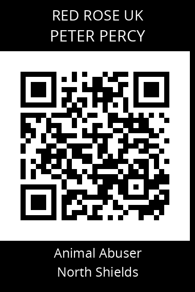 QR code for peter-percy