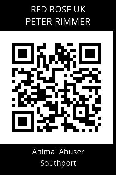 QR code for peter-rimmer-1