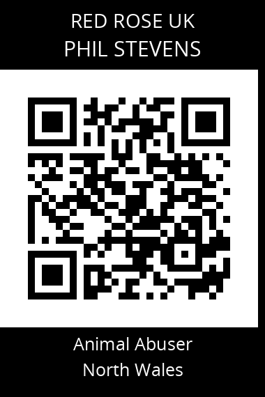 QR code for phil-stevens