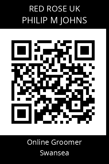 QR code for philip-m-johns-2