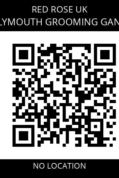 QR code for plymouth-grooming-gang
