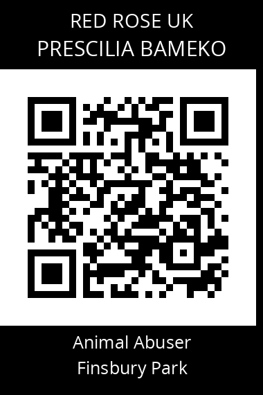 QR code for prescilia-bameko