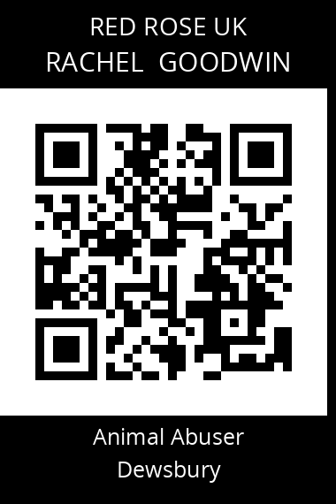 QR code for rachel-goodwin