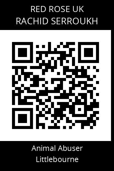 QR code for rachid-serroukh