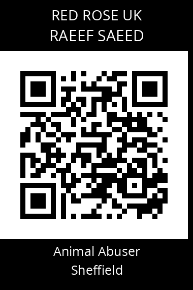 QR code for raeef-saeed
