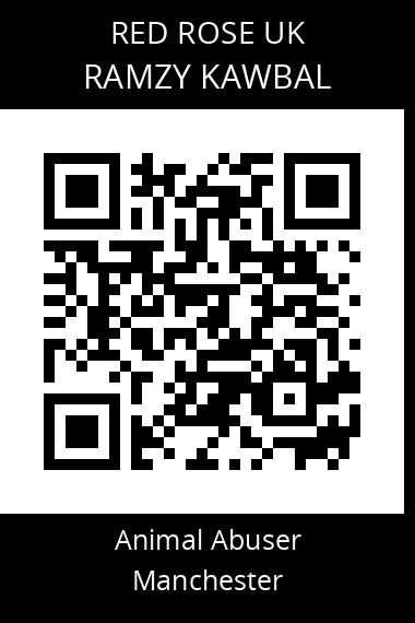 QR code for ramzy-kawbal