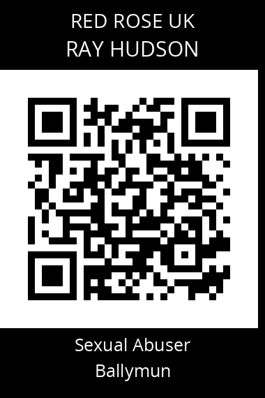 QR code for ray-hudson
