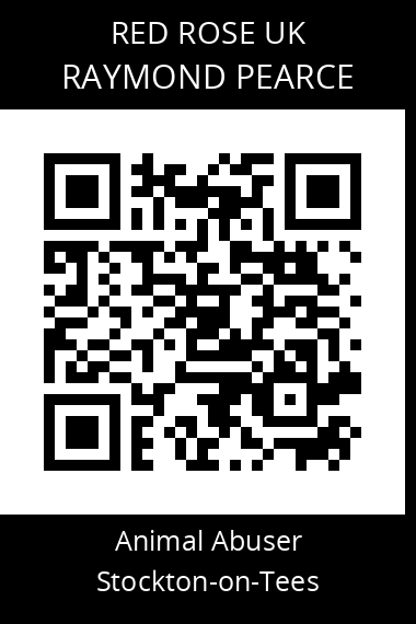 QR code for raymond-pearce