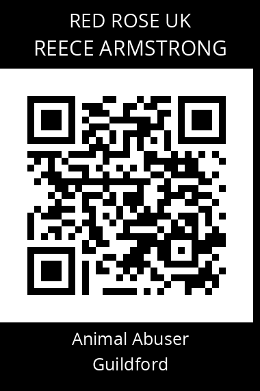 QR code for reece-armstrong-1