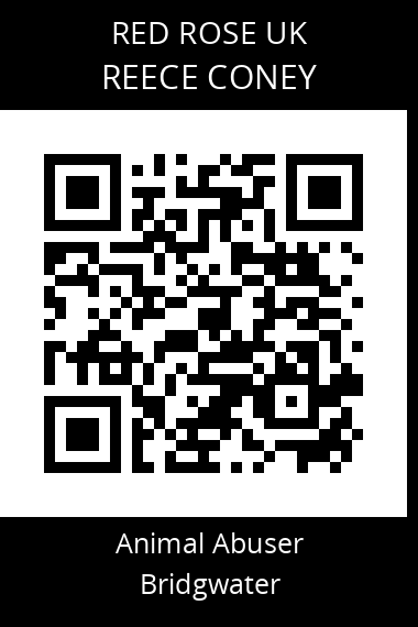 QR code for reece-coney-1