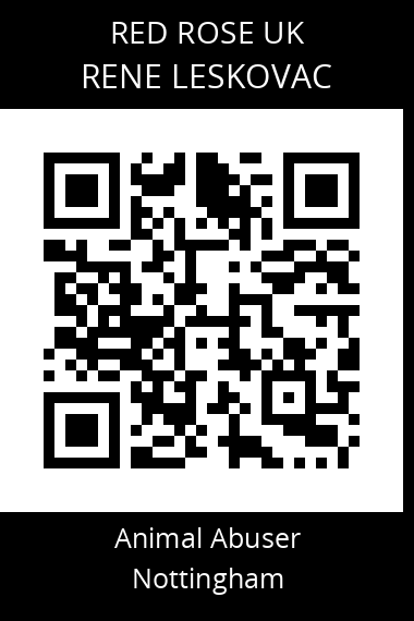 QR code for rene-leskovac