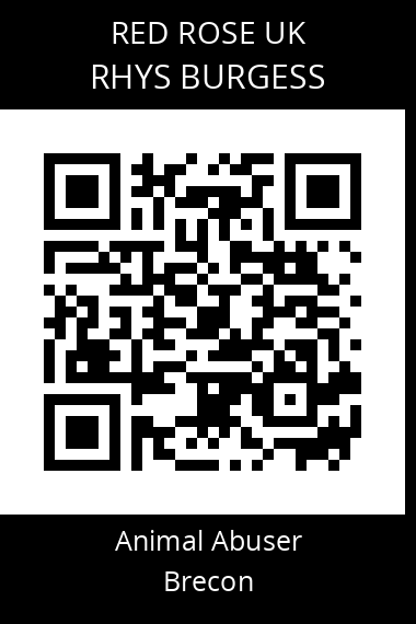 QR code for rhys-burgess