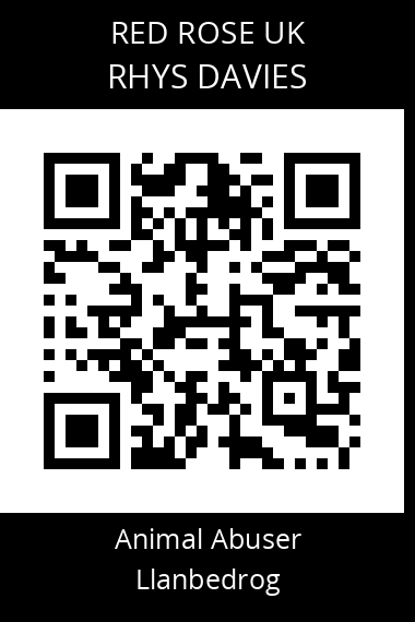 QR code for rhys-davies-1