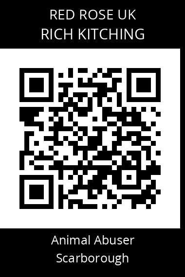 QR code for rich-kitching