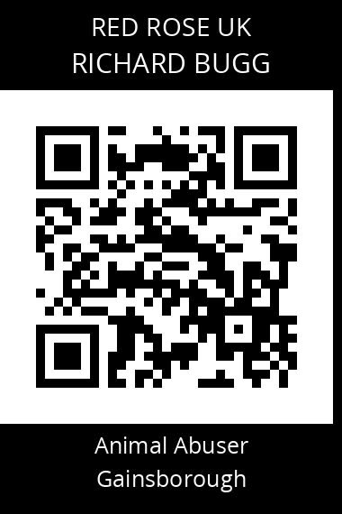 QR code for richard-bugg-2