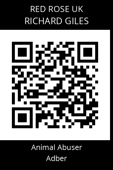 QR code for richard-giles-2