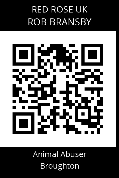 QR code for rob-bransby