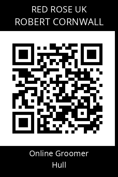 QR code for robert-cornwall