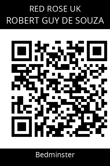 QR code for robert-guy-de-souza