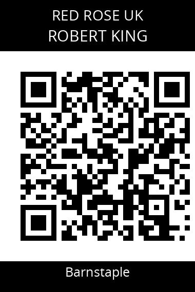 QR code for robert-king-ylsxkm