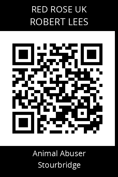 QR code for robert-lees