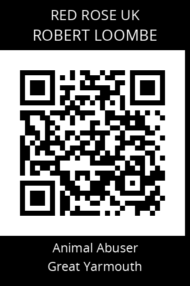 QR code for robert-loombe