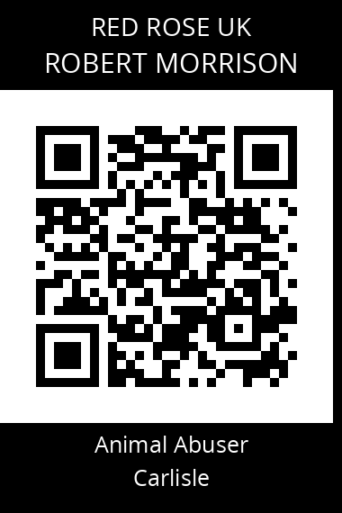 QR code for robert-morrison-2