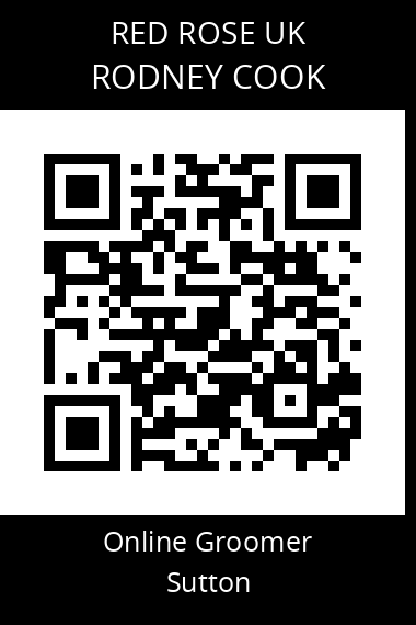 QR code for rodney-cook